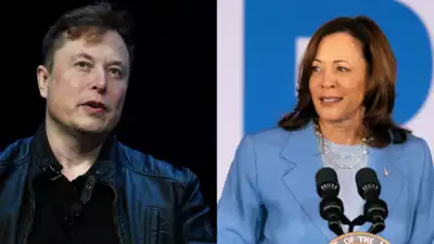 Picture of Elon Musk left side, picture of Kamala Harris right side. 