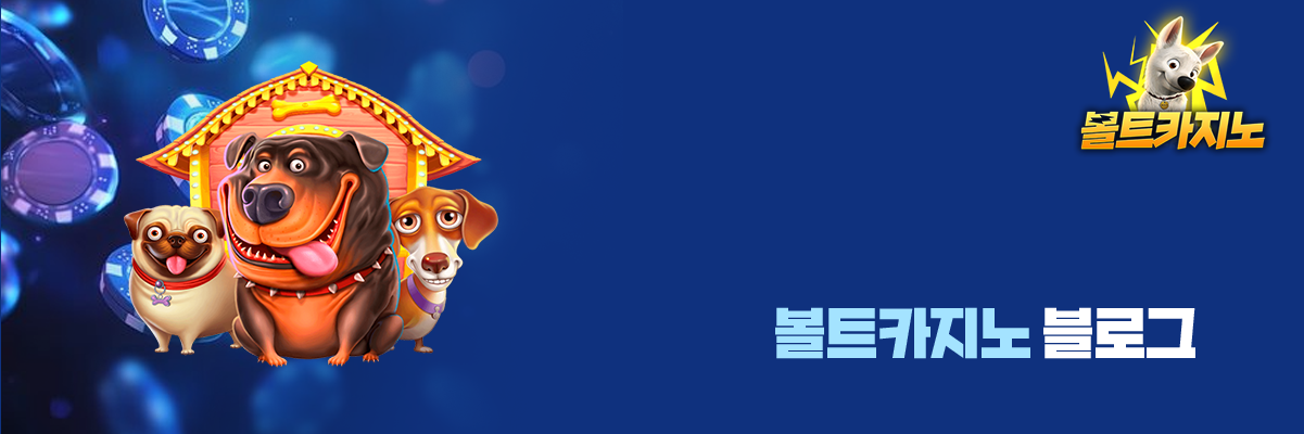 볼트카지노 블로그 안내 배너